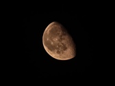 Enlarge photo 44