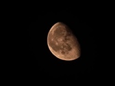 Enlarge photo 61