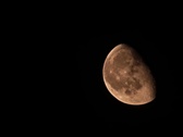 Enlarge photo 42