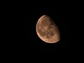 Enlarge photo 40