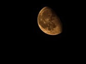 Enlarge photo 37