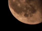 Enlarge photo 35