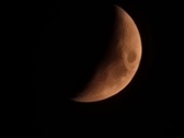 Enlarge photo 282