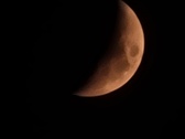 Enlarge photo 281