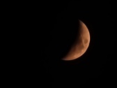 Enlarge photo 280