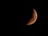 Enlarge photo 279