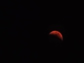 Enlarge photo 149