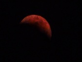 Enlarge photo 143
