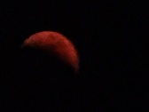 Enlarge photo 146