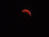Enlarge photo 147