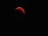 Enlarge photo 144