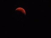 Enlarge photo 145