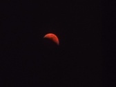 Enlarge photo 148