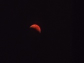 Enlarge photo 140