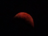 Enlarge photo 139