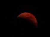 Enlarge photo 138