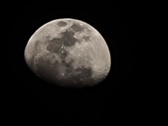 Enlarge photo 278