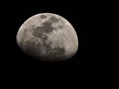 Enlarge photo 277