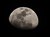 Enlarge photo 276
