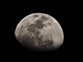 Enlarge photo 275