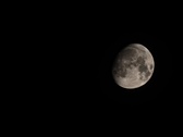 Enlarge photo 272