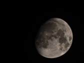 Enlarge photo 273