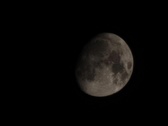Enlarge photo 274