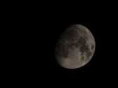 Enlarge photo 271