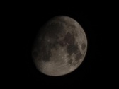 Enlarge photo 270