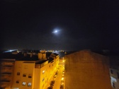 Enlarge photo 263