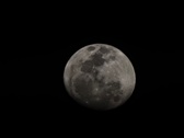 Enlarge photo 254