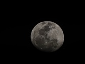 Enlarge photo 253
