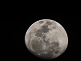 Enlarge photo 251