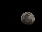 Enlarge photo 250