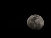 Enlarge photo 249