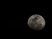 Enlarge photo 247