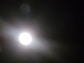 Enlarge photo 245
