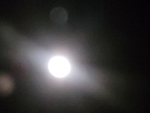 Enlarge photo 244