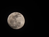 Enlarge photo 243