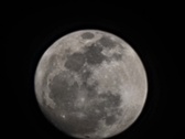 Enlarge photo 240