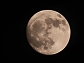 Enlarge photo 236