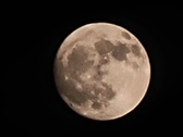 Enlarge photo 235