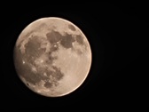Enlarge photo 234