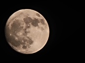 Enlarge photo 232