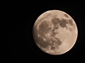 Enlarge photo 230