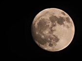 Enlarge photo 229