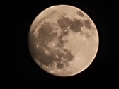 Enlarge photo 228