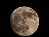 Enlarge photo 227