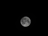 Enlarge photo 220