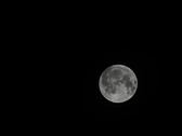 Enlarge photo 219